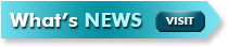 Cornerstone Insurance News